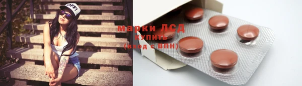 ПСИЛОЦИБИНОВЫЕ ГРИБЫ Вязники