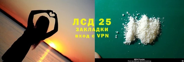 ПСИЛОЦИБИНОВЫЕ ГРИБЫ Вязники