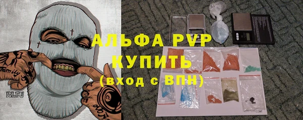 ПСИЛОЦИБИНОВЫЕ ГРИБЫ Вязники