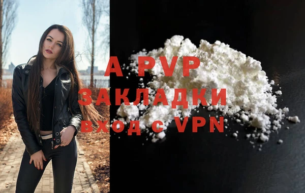 ПСИЛОЦИБИНОВЫЕ ГРИБЫ Вязники