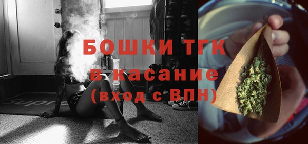 ПСИЛОЦИБИНОВЫЕ ГРИБЫ Вязники
