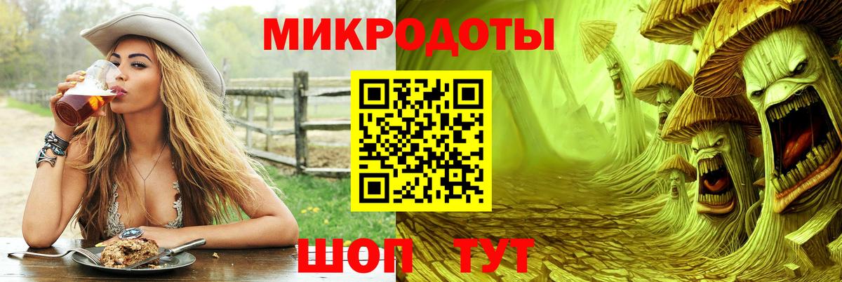 Псилоцибиновые грибы Psilocybe  Псилоцибиновые грибы Psilocybine cubensis  Мценск 